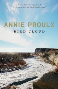 bird-cloudx-large